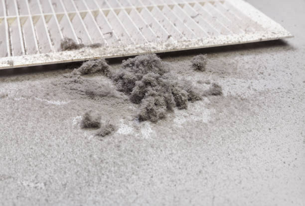 Best Ventilation Cleaning Services  in Tipton, IA