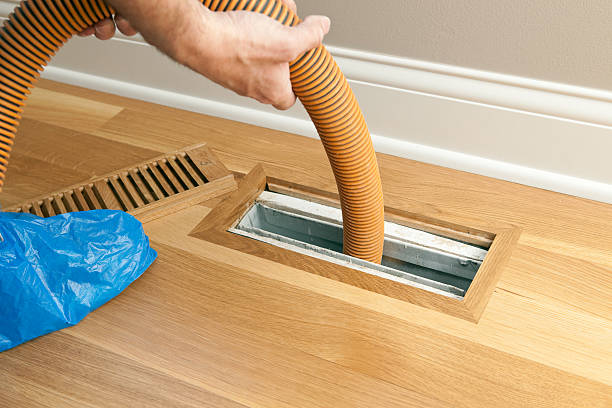 Best Home Air Vent Cleaning  in Tipton, IA