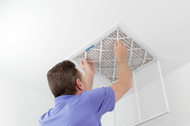 Best Affordable Air Duct Cleaning  in Tipton, IA